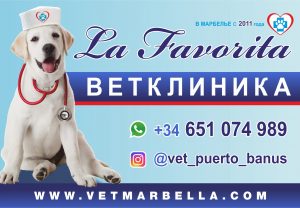 Ветеринарная клиника «Ла Фаворита»